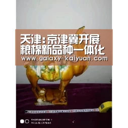 天津:京津冀开展粮棉新品种一体化审定“开元棋牌官方下载”(图4) 开元