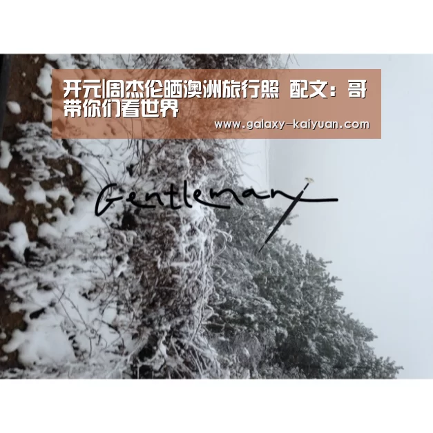 开元|周杰伦晒澳洲旅行照 配文:哥带你们看世界(图3) 开元